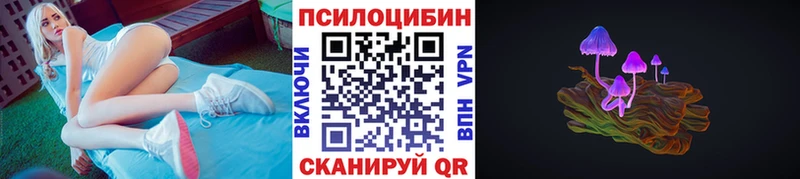 ОМГ ОМГ   Приволжский  Галлюциногенные грибы Psilocybe  где можно купить  