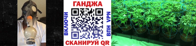 Каннабис сатива  Приволжский 
